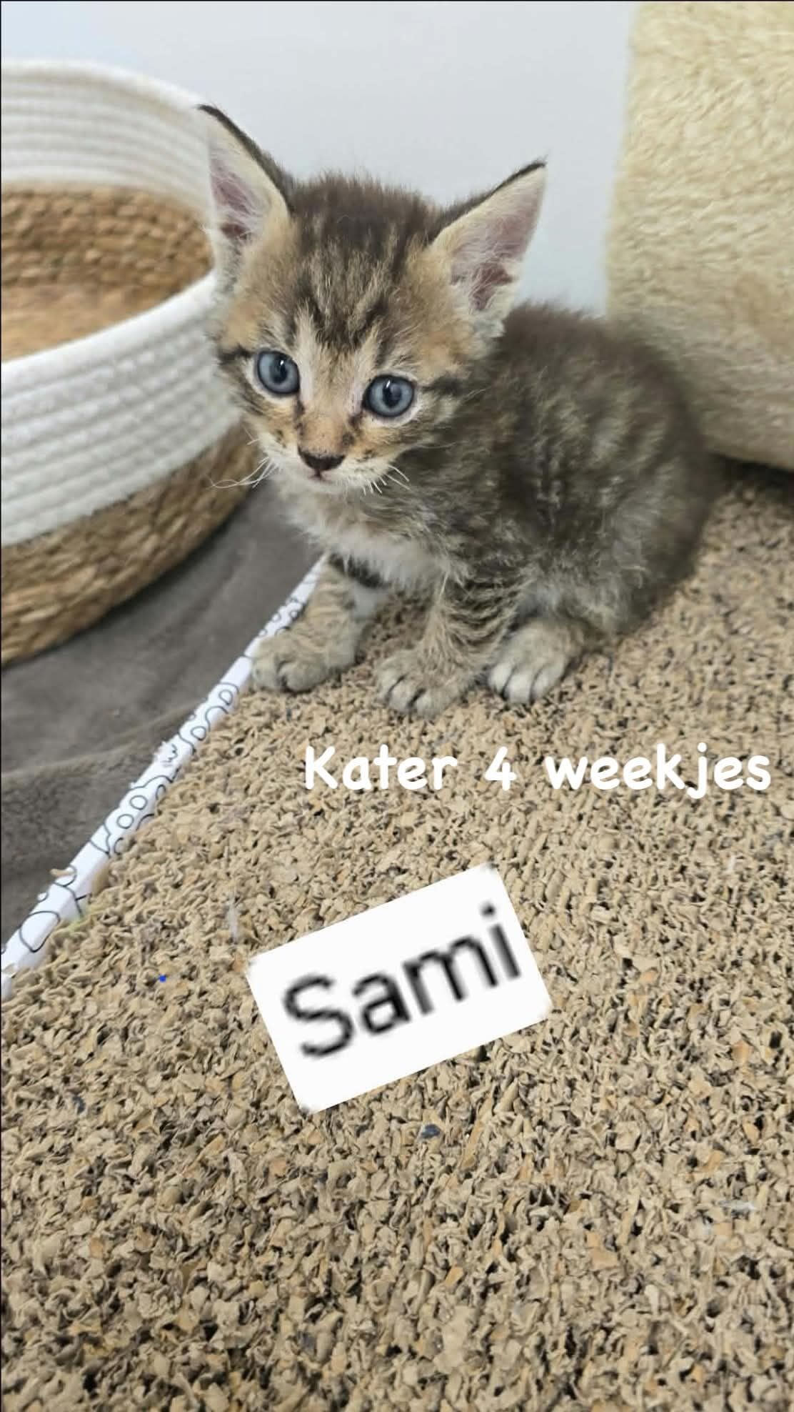 Picture of Sami